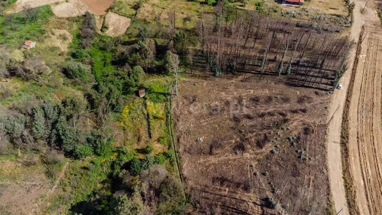 Terreno para Venda em Paul Foto 9