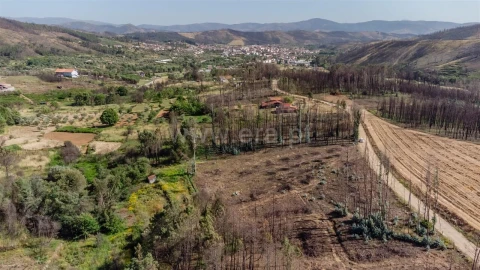 Terreno para Venda em Paul