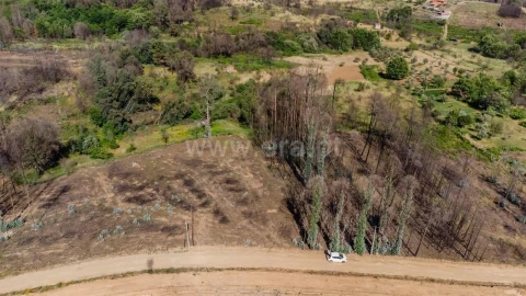 Terreno para Venda em Paul