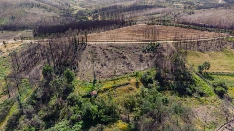 Terreno para Venda em Paul