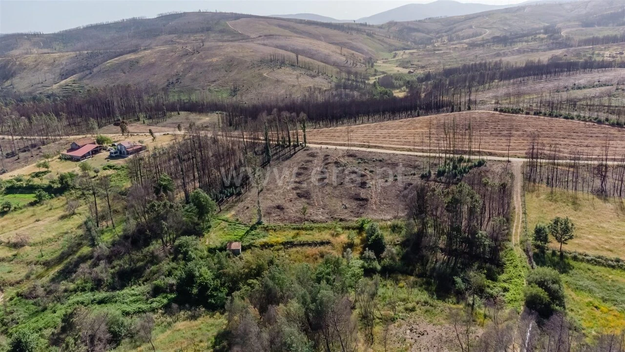 Terreno para Venda em Paul Foto 4