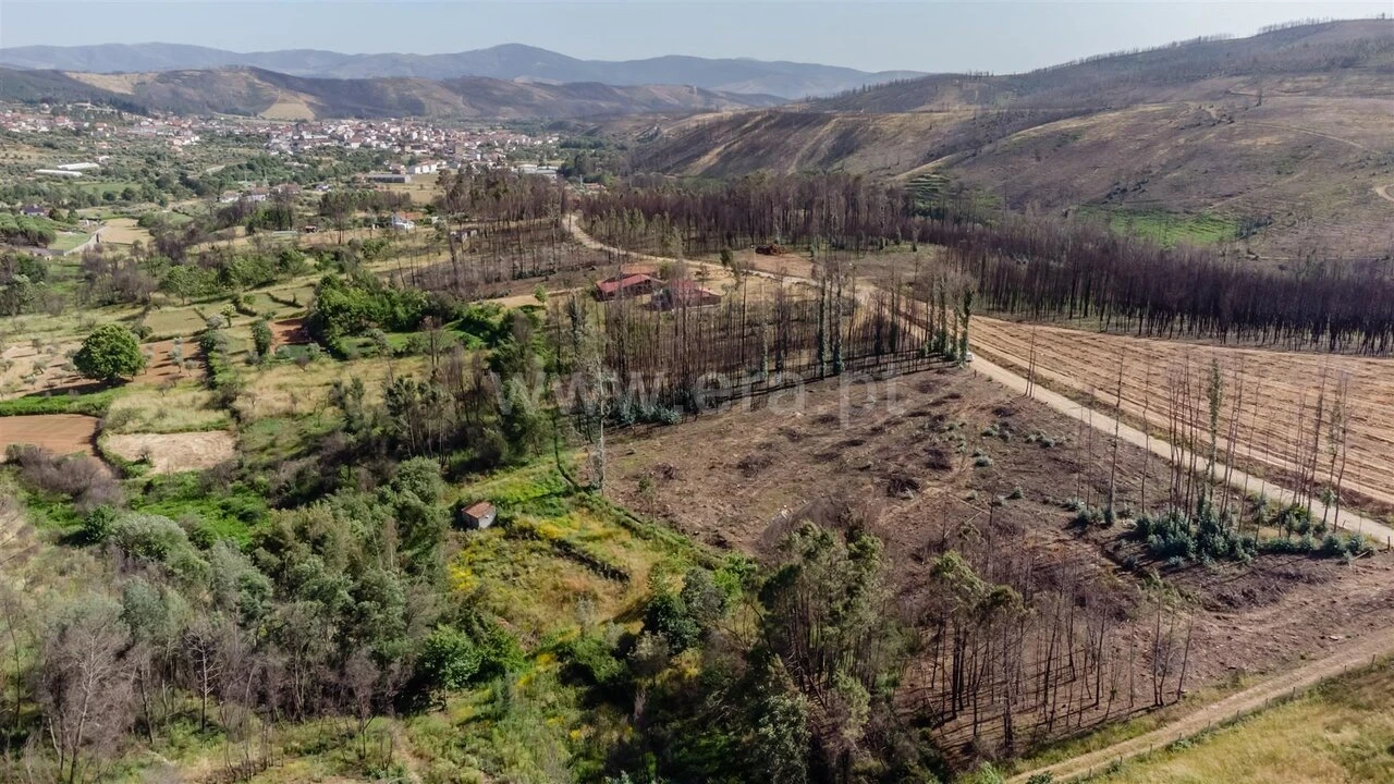 Terreno para Venda em Paul Foto 6