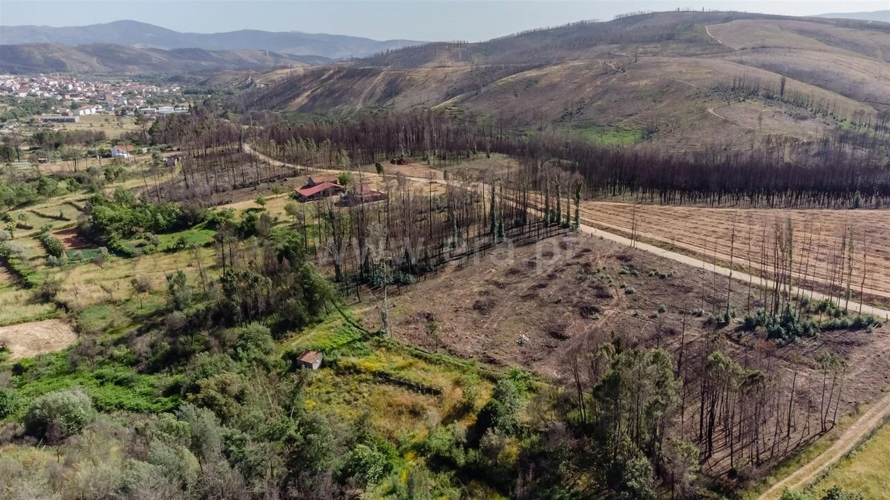 Terreno para Venda em Paul Foto 5