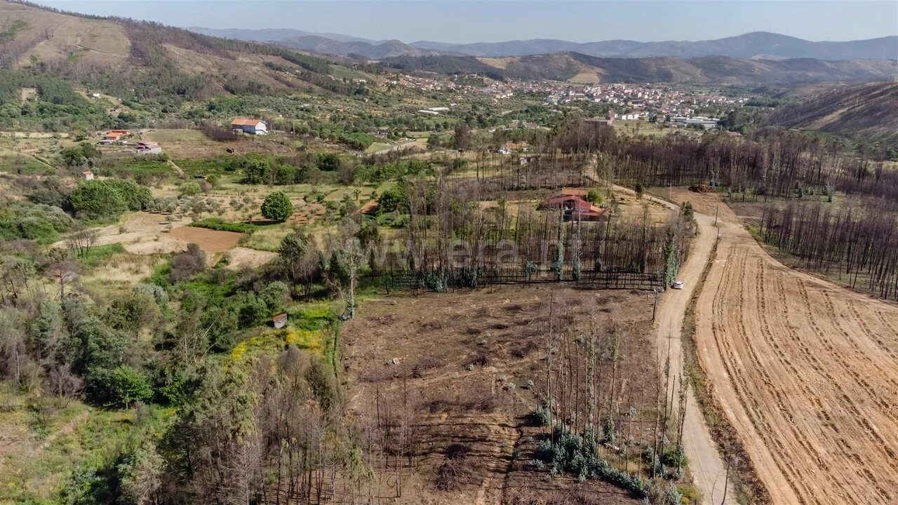 Terreno para Venda em Paul Foto 8