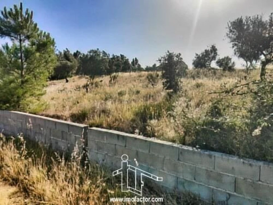 Terreno para Venda em Benquerenças Foto 9