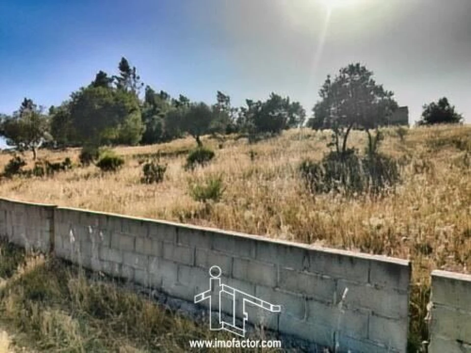 Terreno para Venda em Benquerenças Foto 8