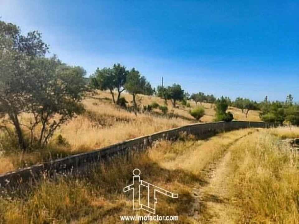 Terreno para Venda em Benquerenças Foto 7
