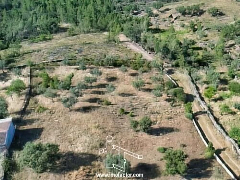 Terreno para Venda em Benquerenças Foto 5