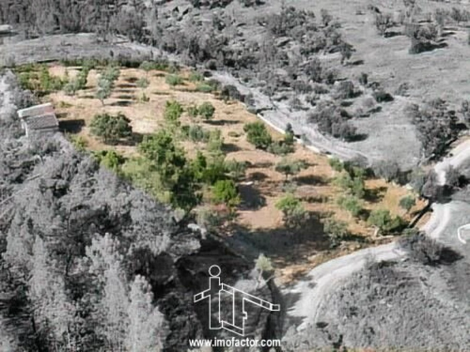 Terreno para Venda em Benquerenças Foto 4