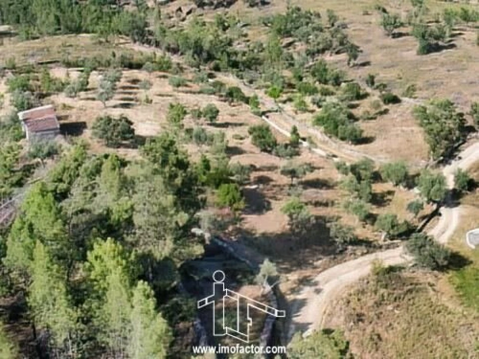 Terreno para Venda em Benquerenças Foto 3