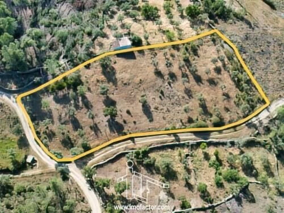 Terreno para Venda em Benquerenças Foto 1