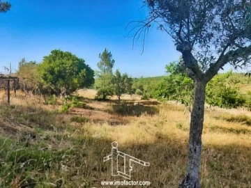 Terreno para Venda em Benquerenças