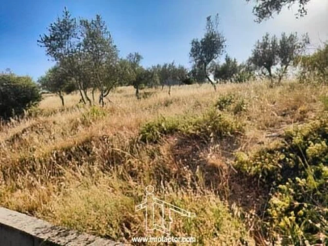 Terreno para Venda em Benquerenças Foto 10