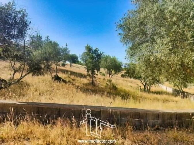 Terreno para Venda em Benquerenças Foto 6