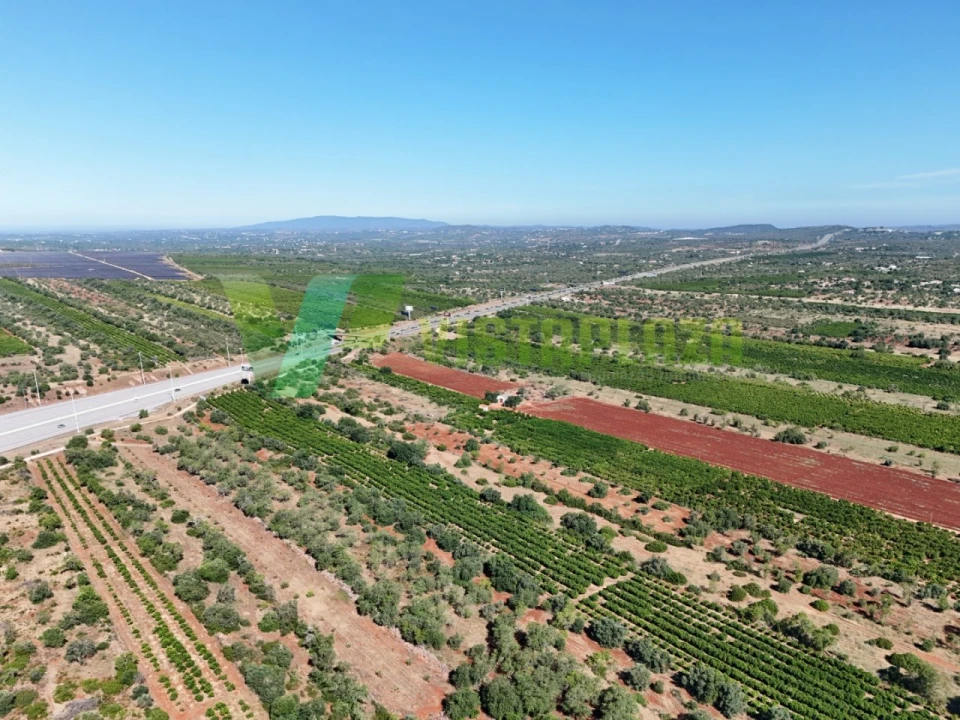 Terreno Agricola ou Rústico para Venda em Paderne Foto 4