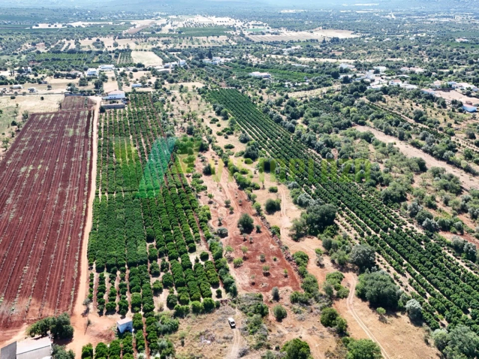Terreno Agricola ou Rústico para Venda em Paderne Foto 5