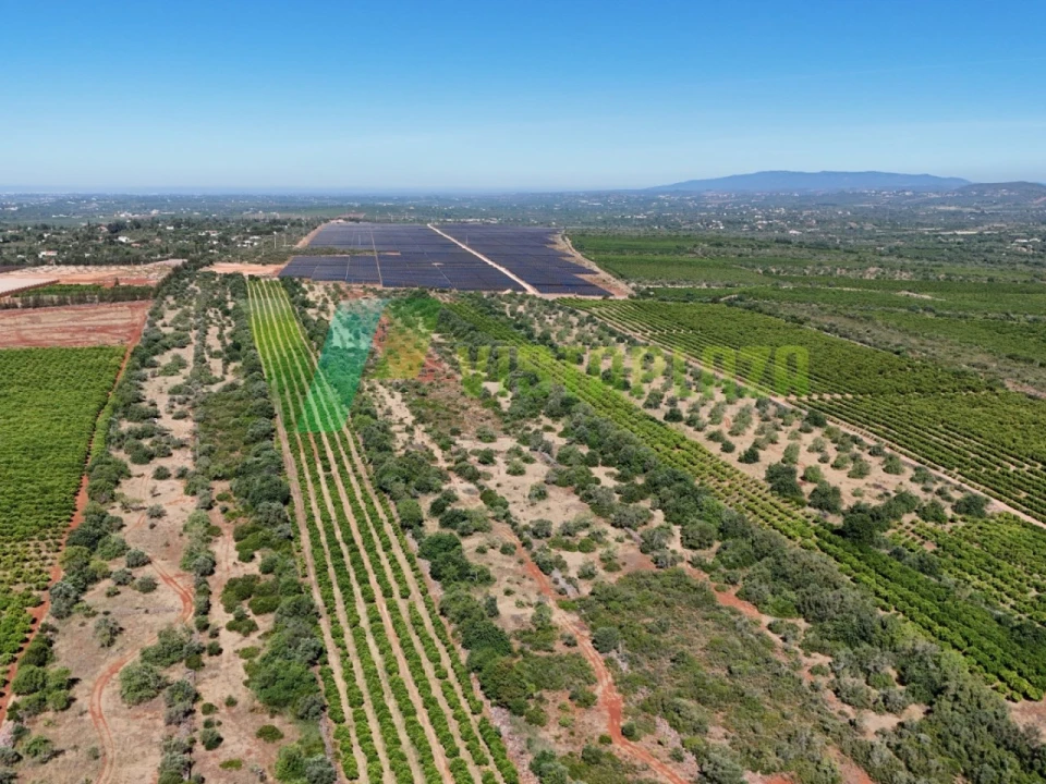 Terreno Agricola ou Rústico para Venda em Paderne Foto 9