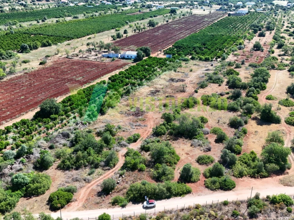 Terreno Agricola ou Rústico para Venda em Paderne Foto 11