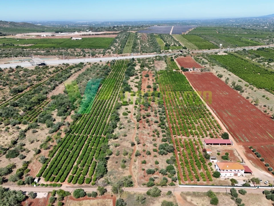 Terreno Agricola ou Rústico para Venda em Paderne Foto 13