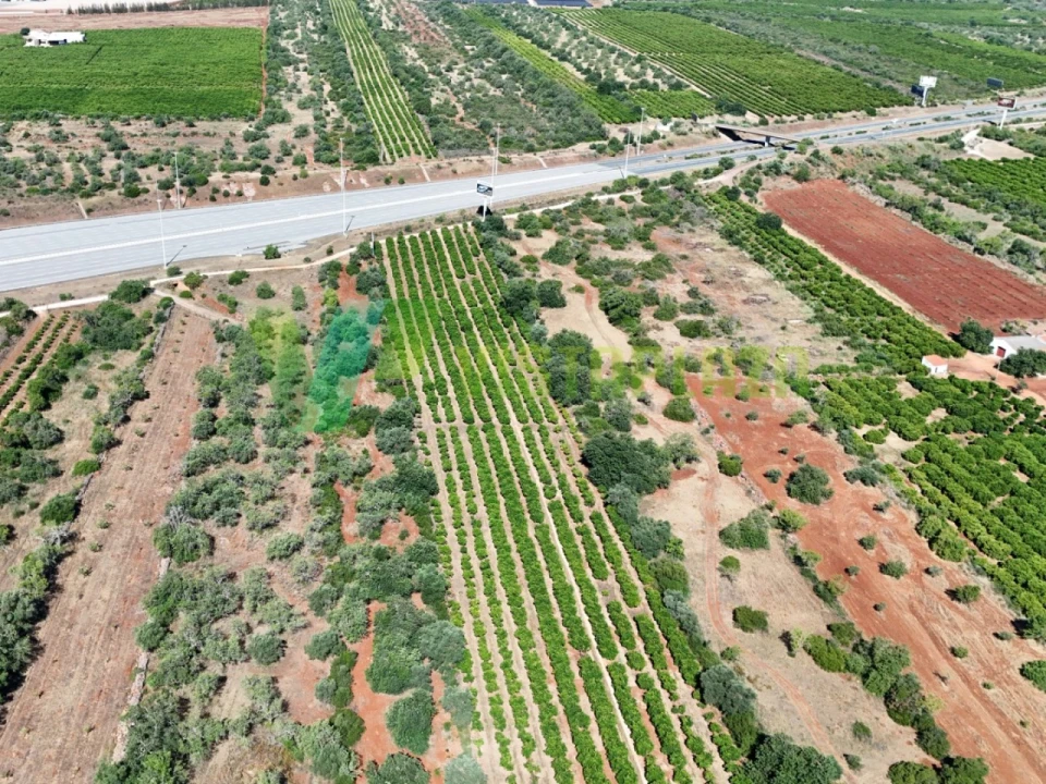 Terreno Agricola ou Rústico para Venda em Paderne Foto 17