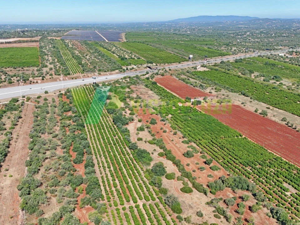 Terreno Agricola ou Rústico para Venda em Paderne Foto 18