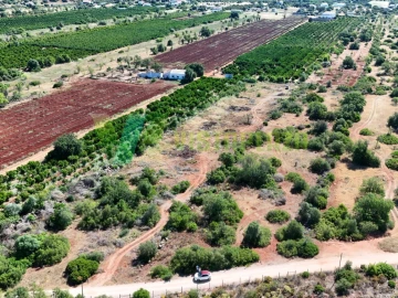 Terreno Agricola ou Rústico para Venda em Paderne