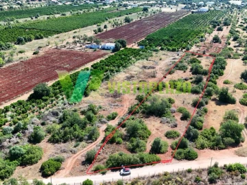 Terreno Agricola ou Rústico para Venda em Paderne