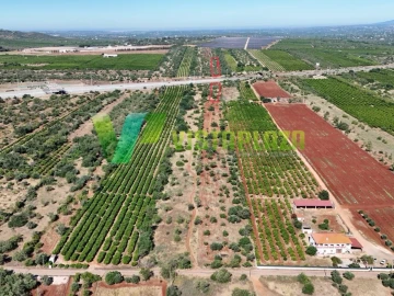 Terreno Agricola ou Rústico para Venda em Paderne