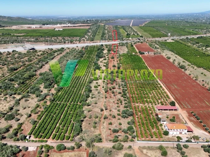 Terreno Agricola ou Rústico para Venda em Paderne Foto 28