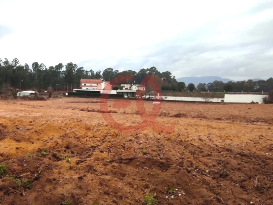 Terreno para Venda em Seara Foto 8