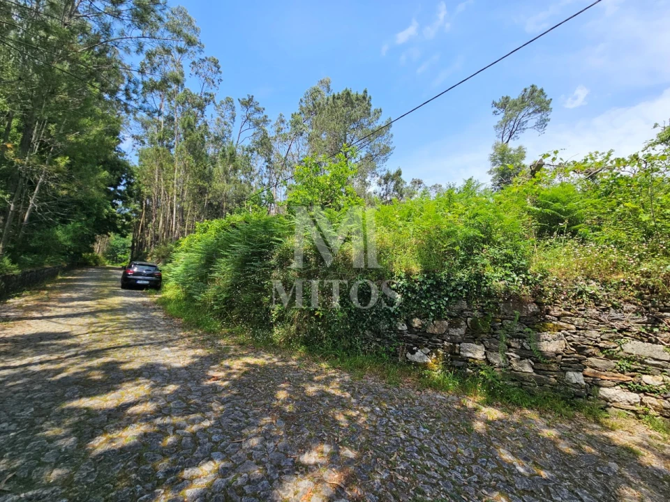 Terreno para Venda em Gondar e Orbacém Foto 2