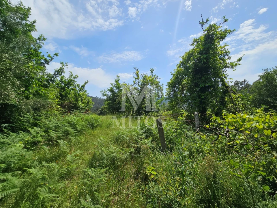 Terreno para Venda em Gondar e Orbacém Foto 4