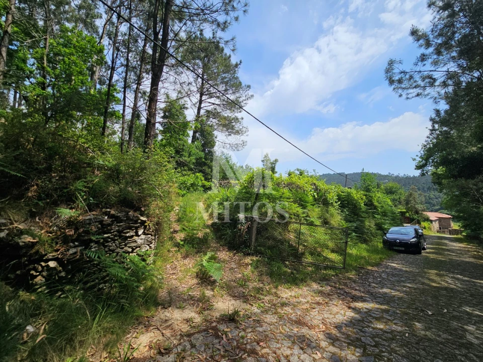 Terreno para Venda em Gondar e Orbacém Foto 5