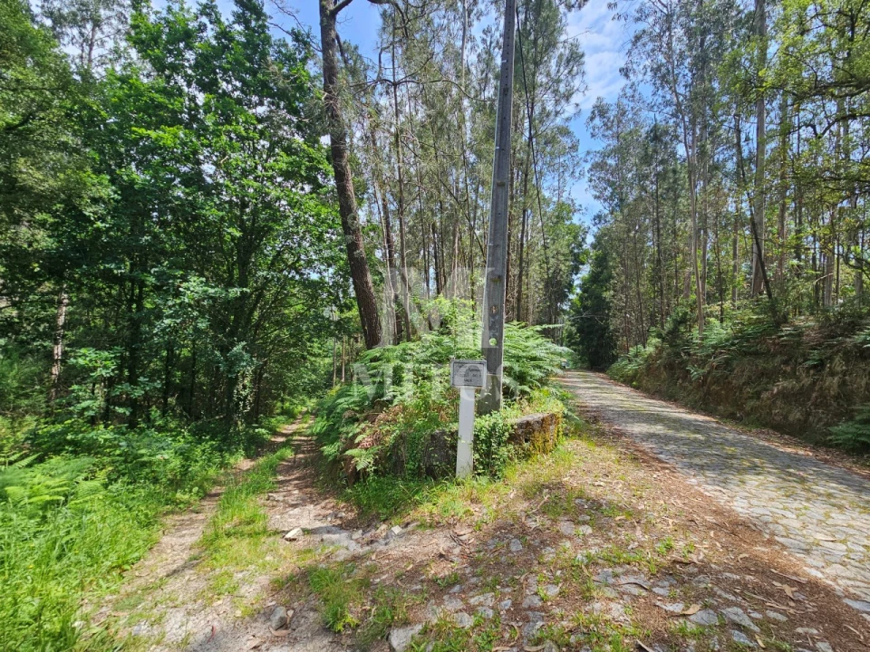 Terreno para Venda em Gondar e Orbacém Foto 6
