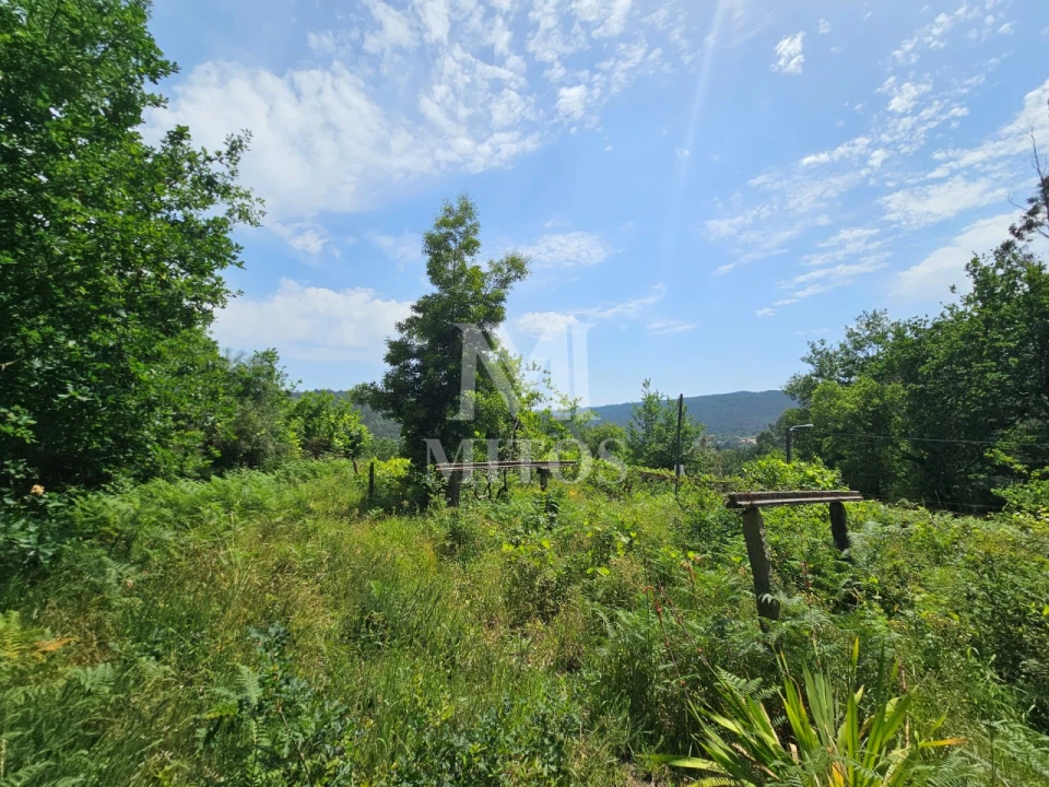 Terreno para Venda em Gondar e Orbacém Foto 8