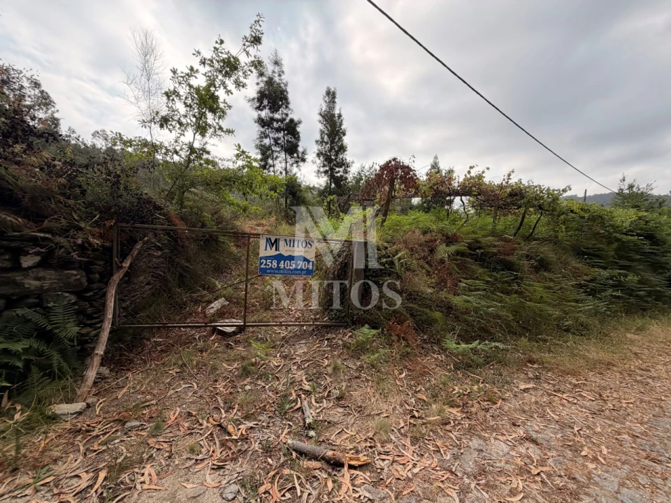 Terreno para Venda em Gondar e Orbacém Foto 1