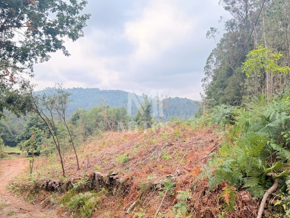 Terreno para Venda em Gondar e Orbacém Foto 2