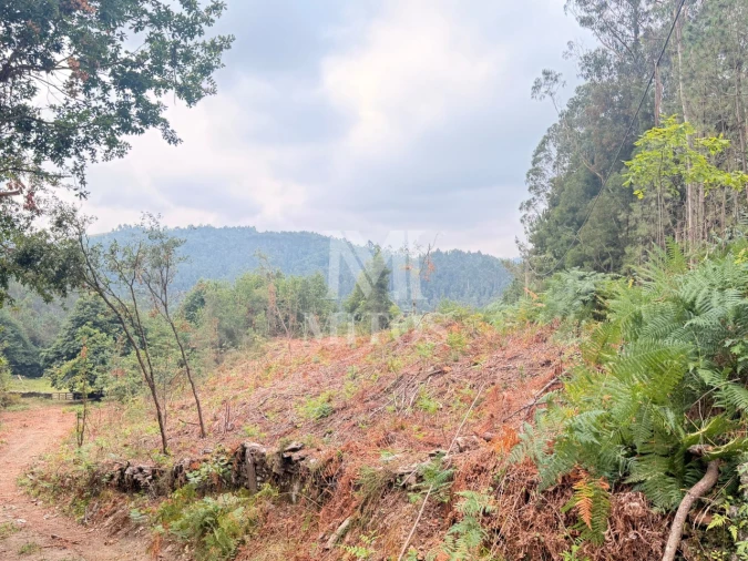 Terreno para Venda em Gondar e Orbacém Foto 2