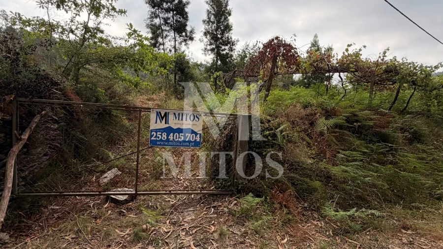 Terreno para Venda em Gondar e Orbacém