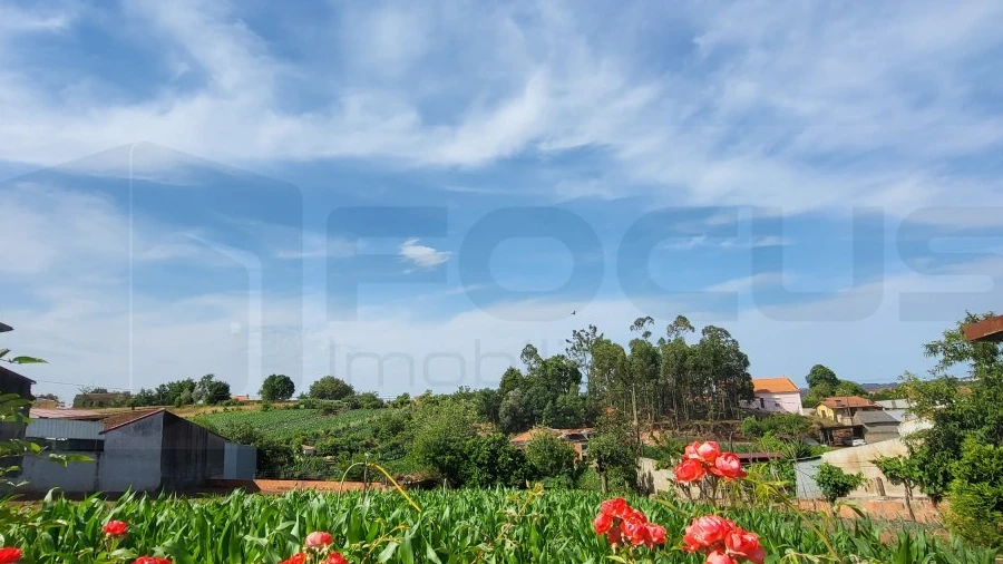 Terreno para Venda em São João de Loure e Frossos