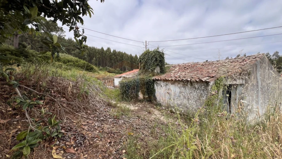 Moradia T3 para Venda em Olho Marinho Foto 11