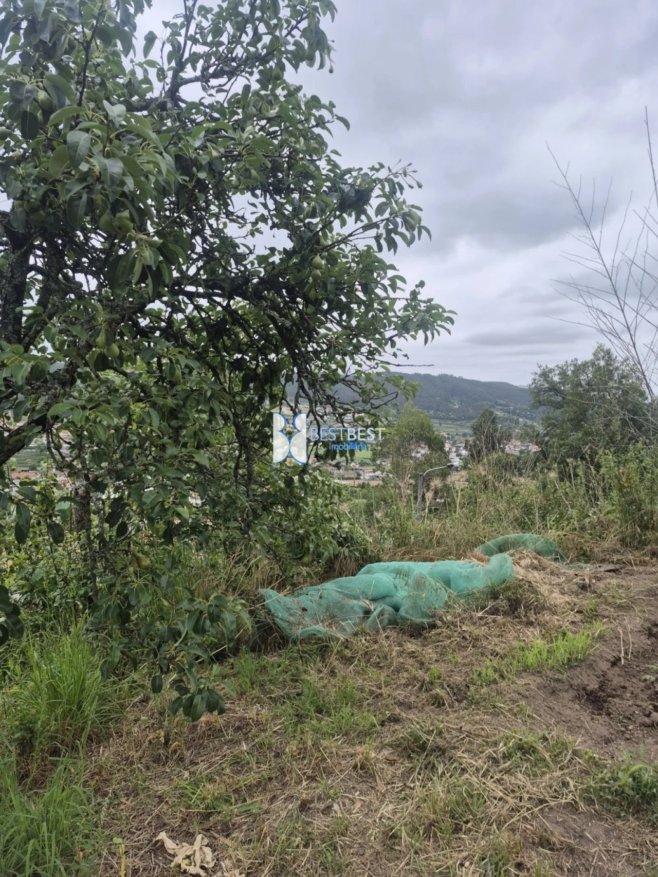Moradia T3 para Venda em Vale (São Cosme), Telhado e Portela Foto 29