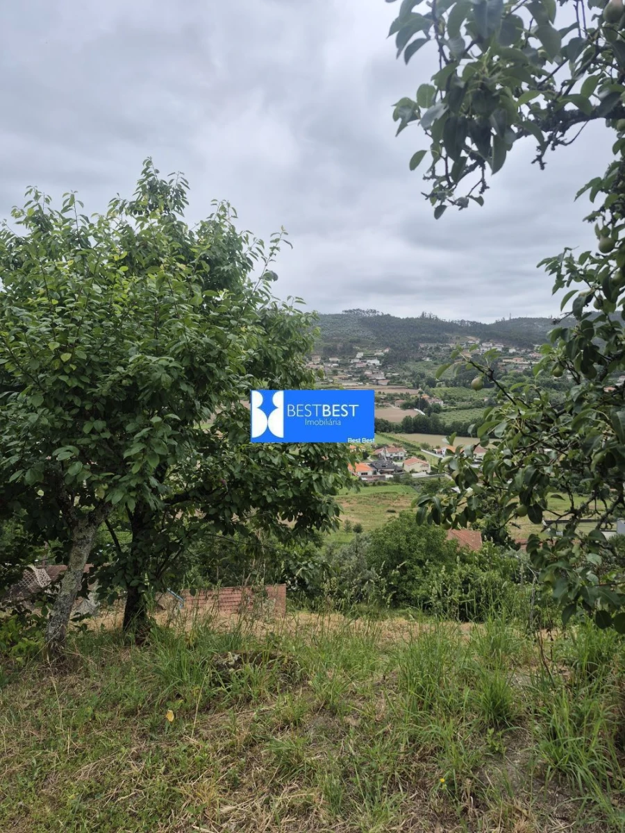 Moradia T3 para Venda em Vale (São Cosme), Telhado e Portela Foto 30