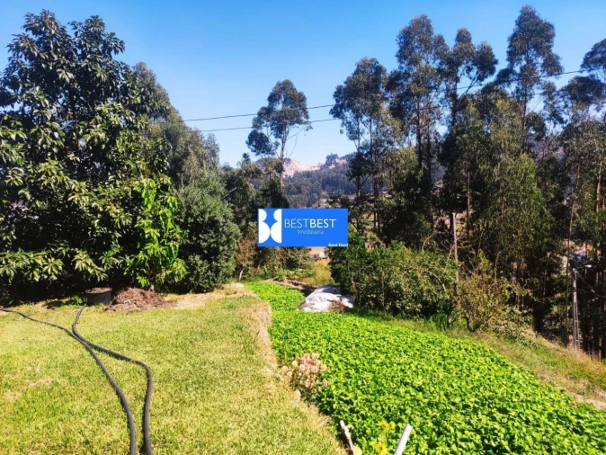 Moradia T3 para Venda em Vale (São Cosme), Telhado e Portela Foto 24