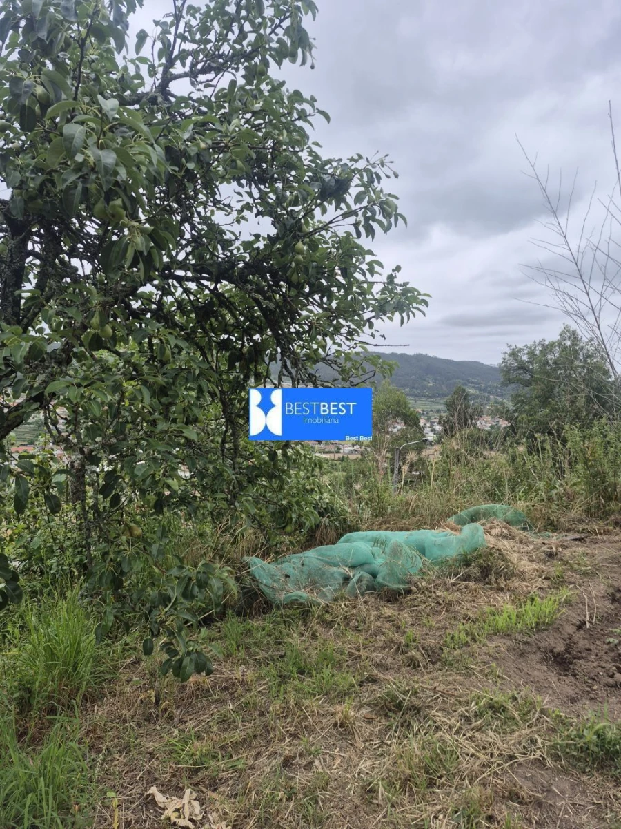 Moradia T3 para Venda em Vale (São Cosme), Telhado e Portela Foto 29