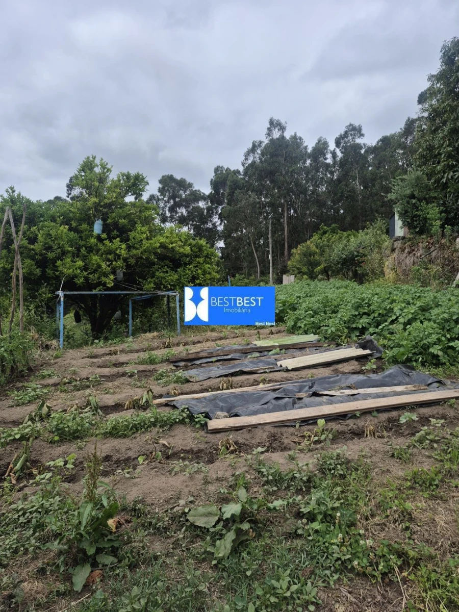 Moradia T3 para Venda em Vale (São Cosme), Telhado e Portela Foto 28