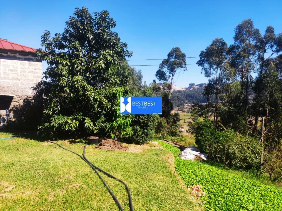 Moradia T3 para Venda em Vale (São Cosme), Telhado e Portela Foto 4