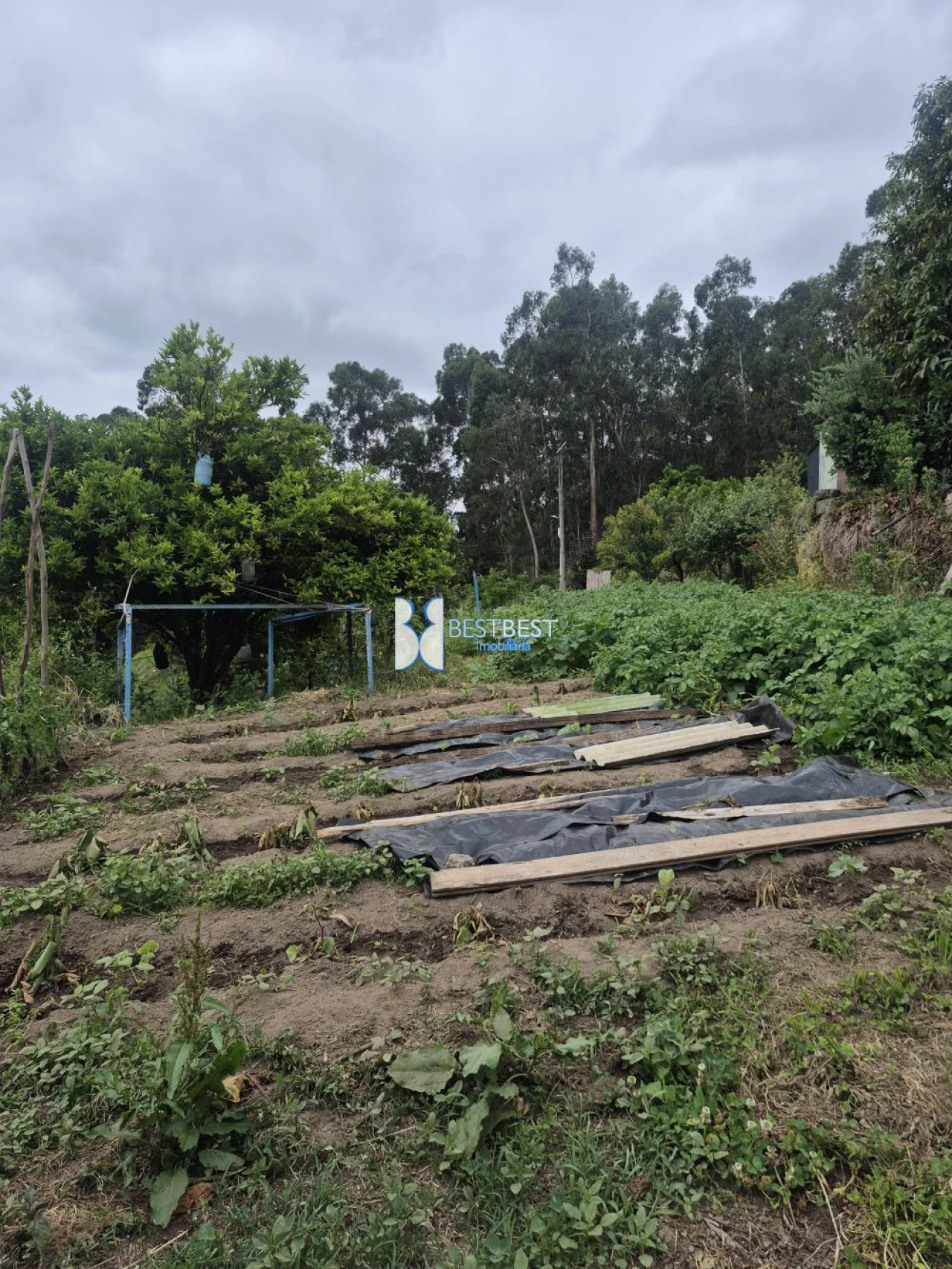 Moradia T3 para Venda em Vale (São Cosme), Telhado e Portela Foto 28