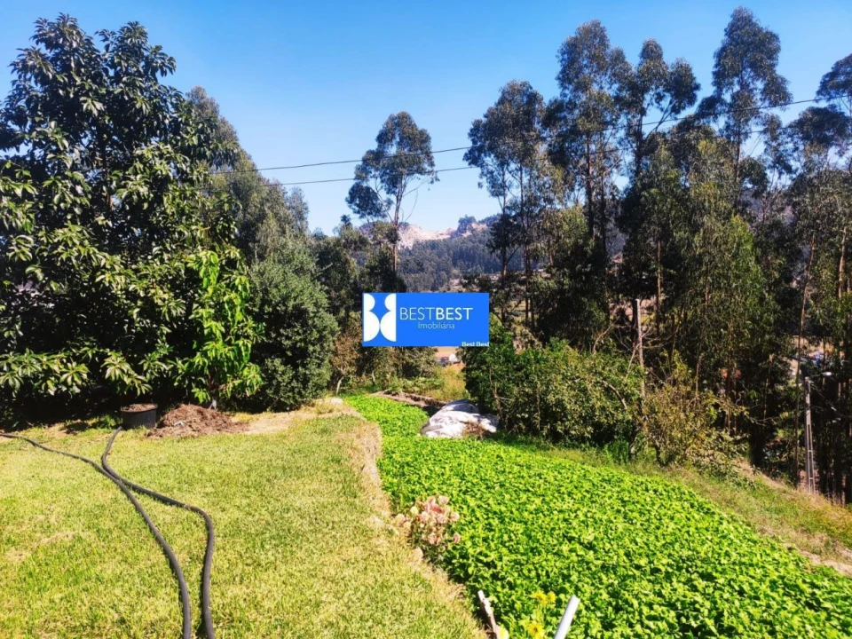 Moradia T3 para Venda em Vale (São Cosme), Telhado e Portela Foto 24
