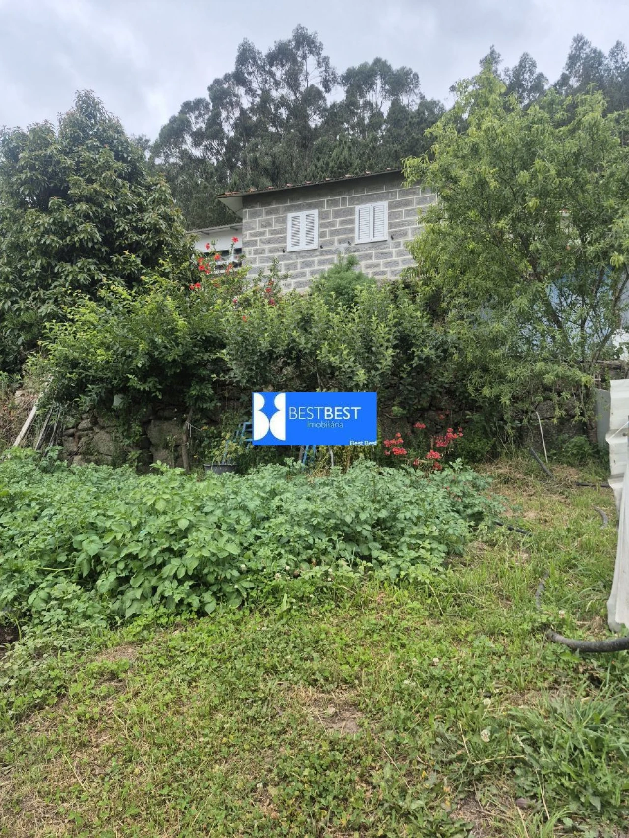 Moradia T3 para Venda em Vale (São Cosme), Telhado e Portela Foto 27